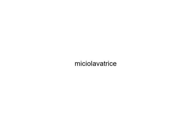 miciolavatrice 1