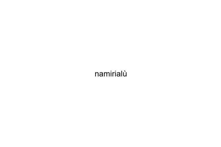 namirial 1