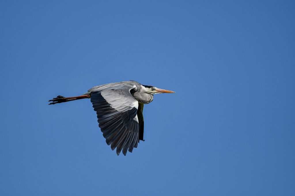 1865 steak seafood & cigars photos