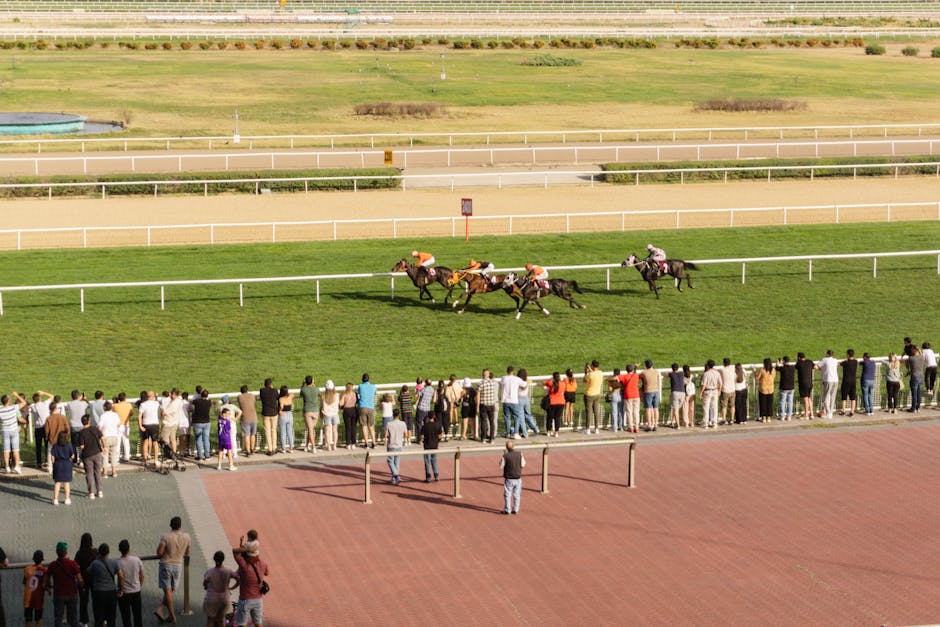 live e-sports betting