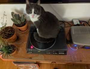 zahongdos eyeliner pencil