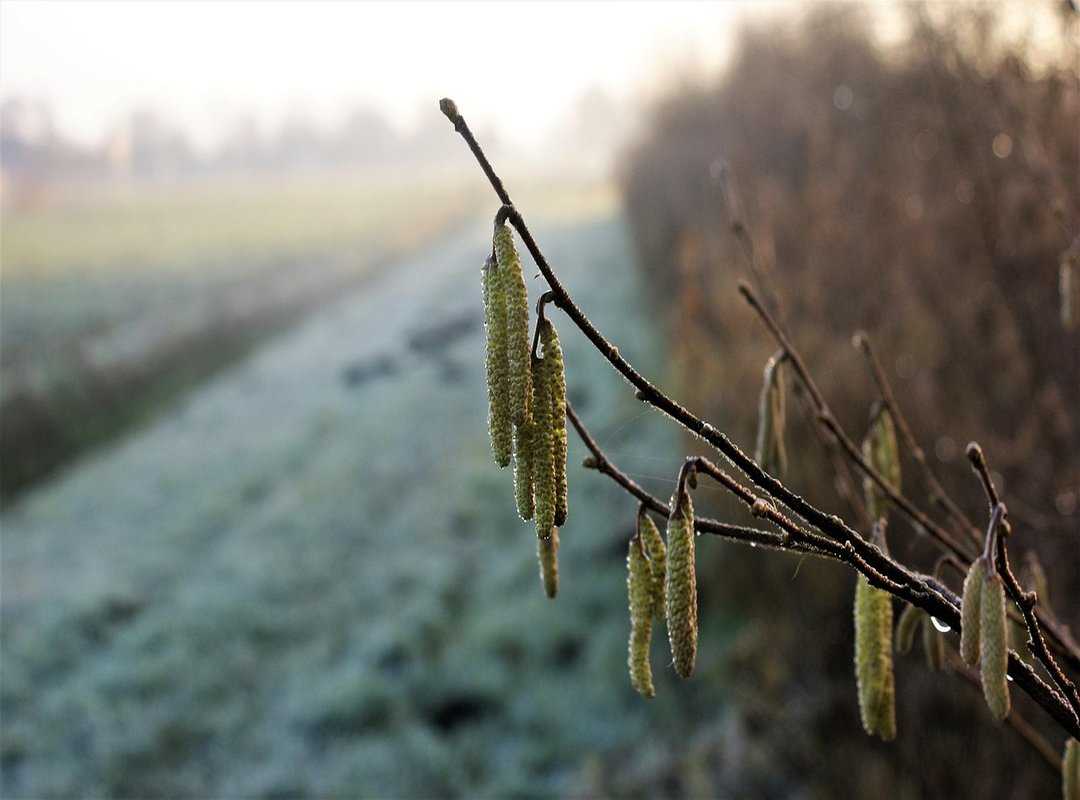 The Complete List of Orz Products You Can Find at Lidl