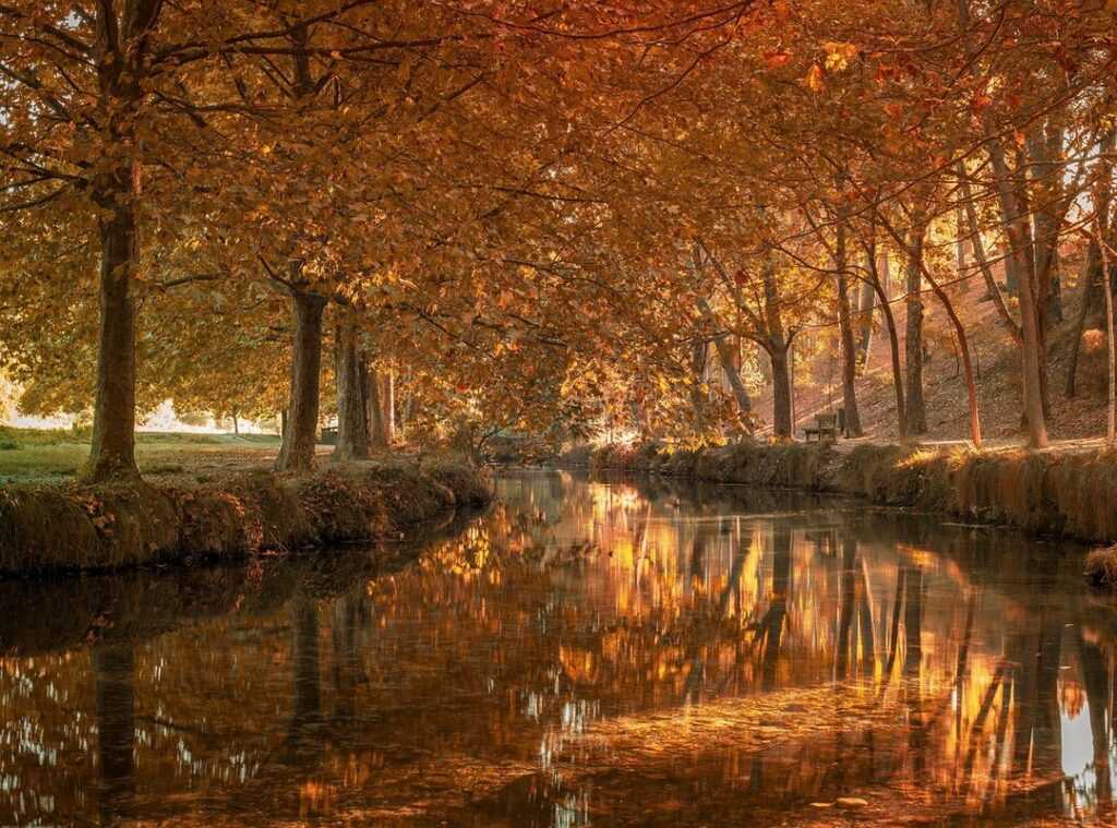 dibujos de roblox de niñas