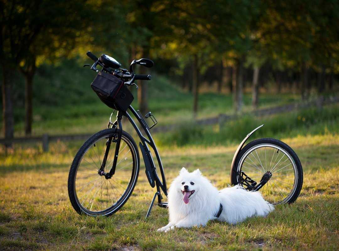 Streaming Tips for a Seamless Experience