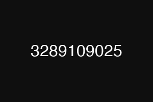 3289109025