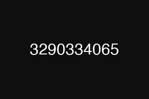 3290334065