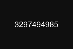 3297494985