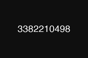 3382210498