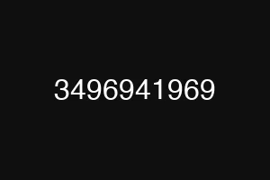 3496941969