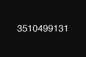 3510499131