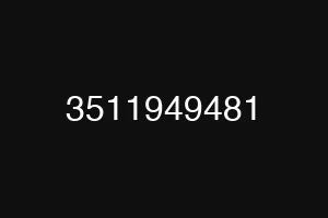 3511949481