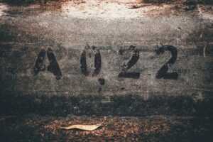 4042550226