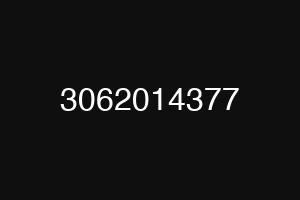 3062014377