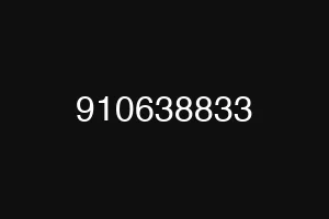 910638833