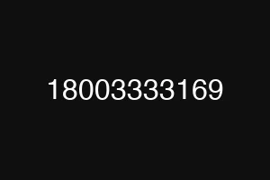 18003333169