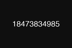18473834985