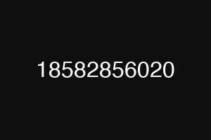 18582856020