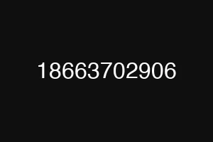 18663702906