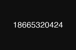 18665320424