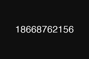 18668762156