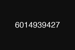 6014939427