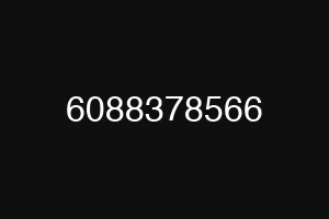 6088378566