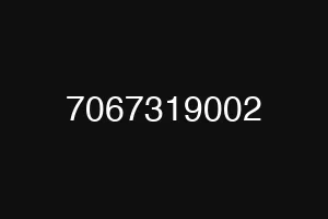 7067319002
