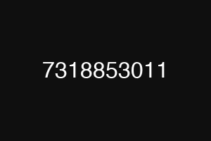7318853011