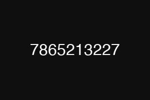 7865213227