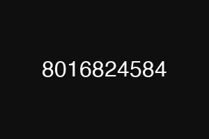 8016824584