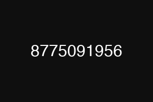 8775091956