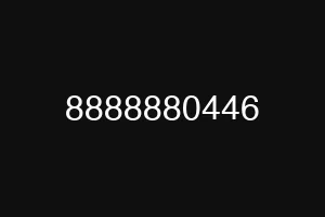 8888880446