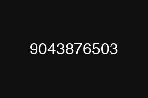 9043876503
