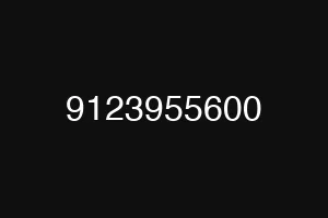 9123955600