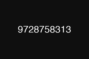 9728758313